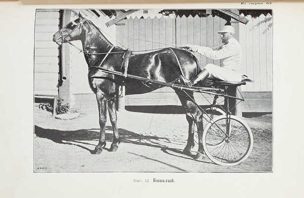 Кулешов П.Н. Тренировка рысаков / Сост. по Марвину и доп. по Сплэну, Маклеоду, Валлясу и др. 2-е изд., просм. и доп. СПб.: Изд. А.Ф. Девриена, 1897.